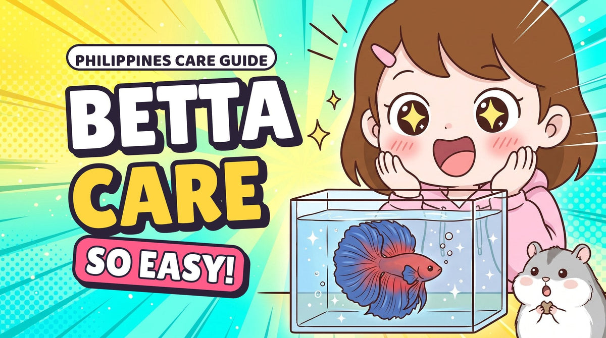 Comic thumbnail: Momo amazed at Hanabi the betta, with the words Betta care, so easy