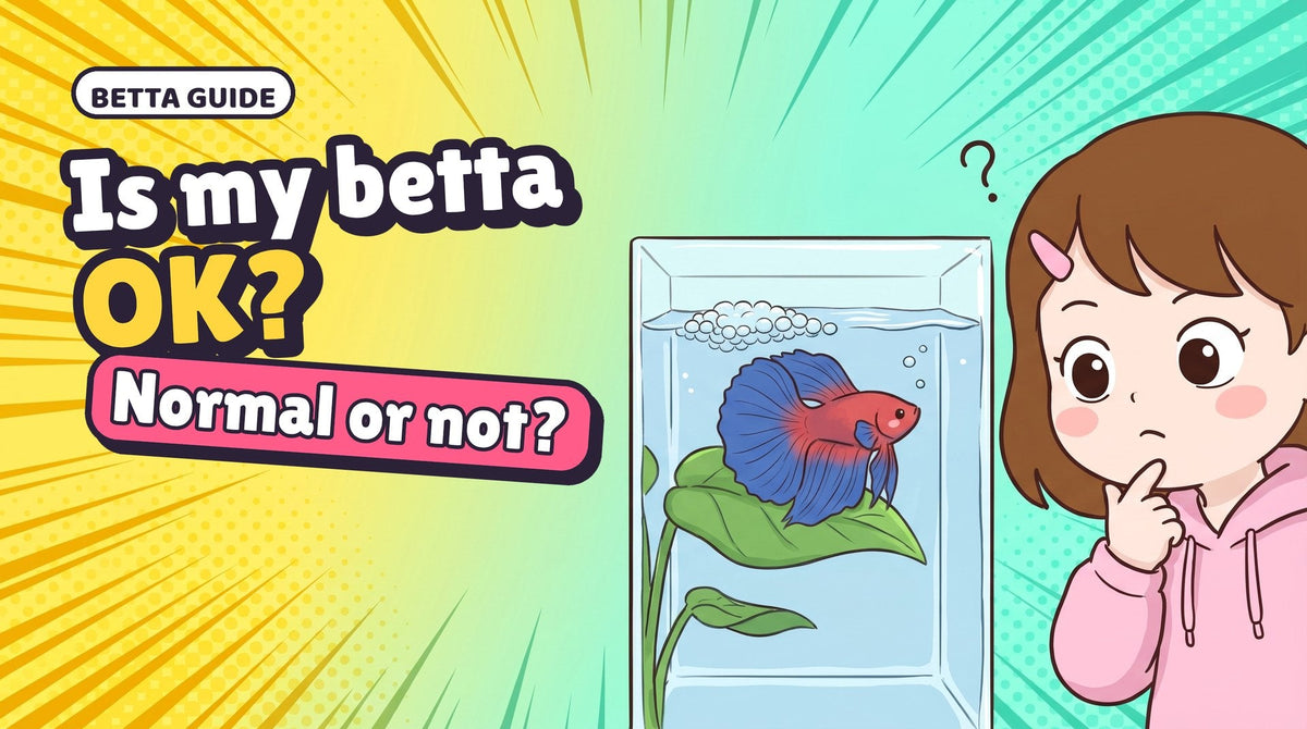 Comic thumbnail: Momo peeks at Hanabi resting on a leaf, with the words Is my betta OK?