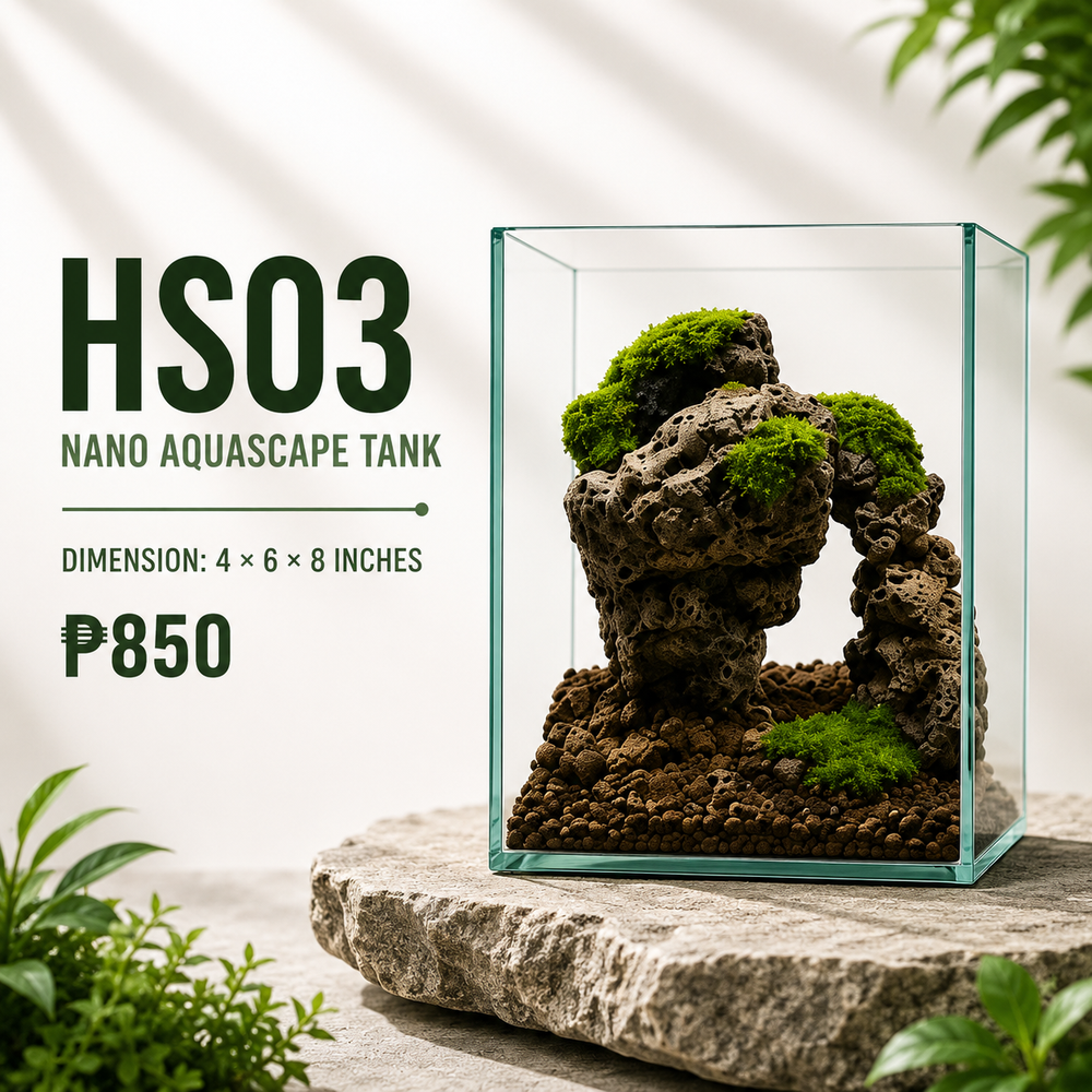 Rock Arch Aquascape Display HS03
