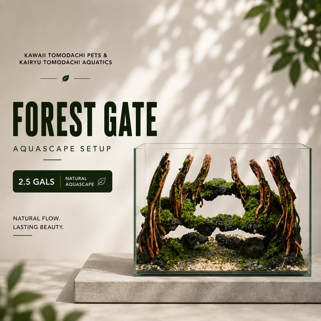 Forest Gate Aquascape Set (2.5 Gallon)