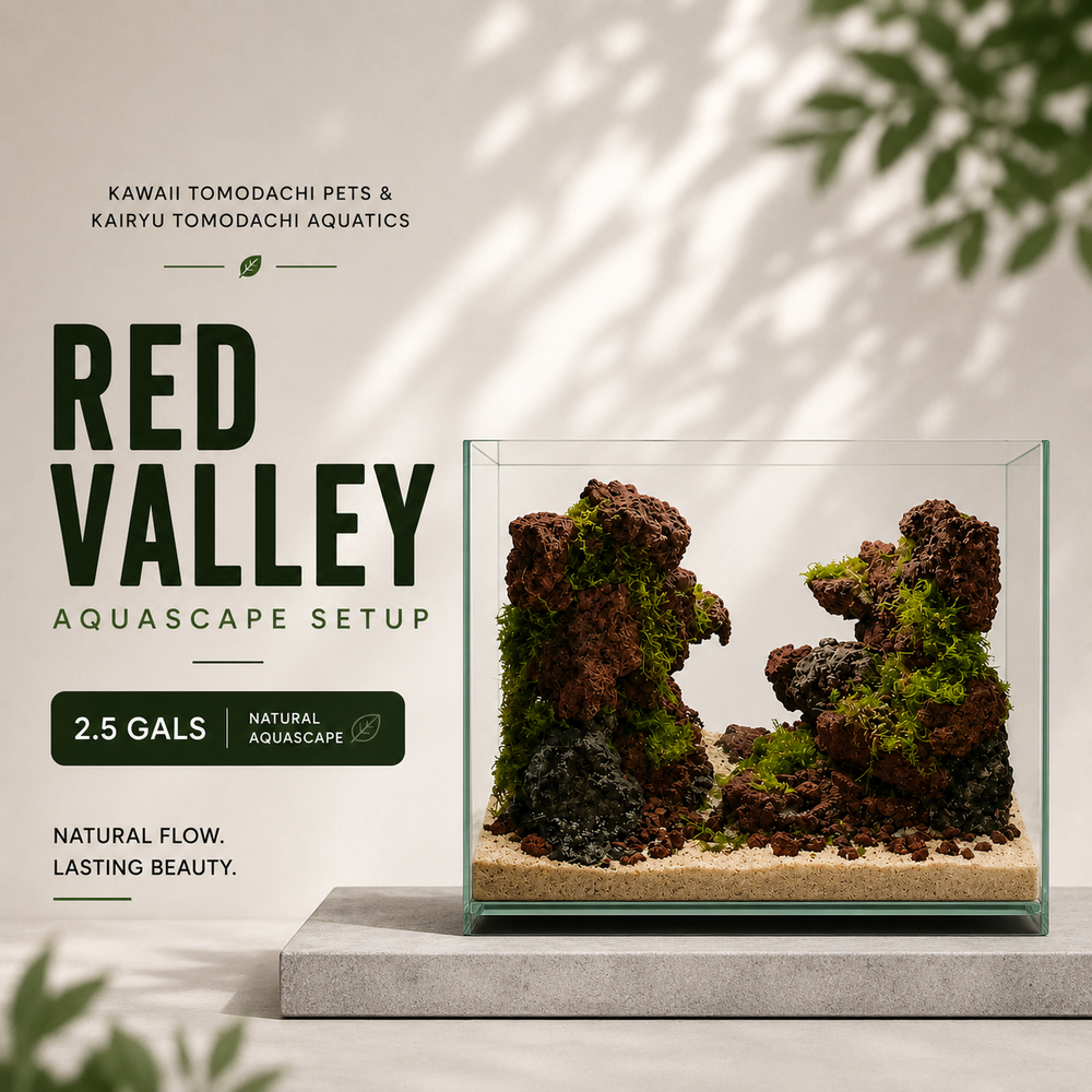 Red Valley Aquascape Set (2.5 Gallon)