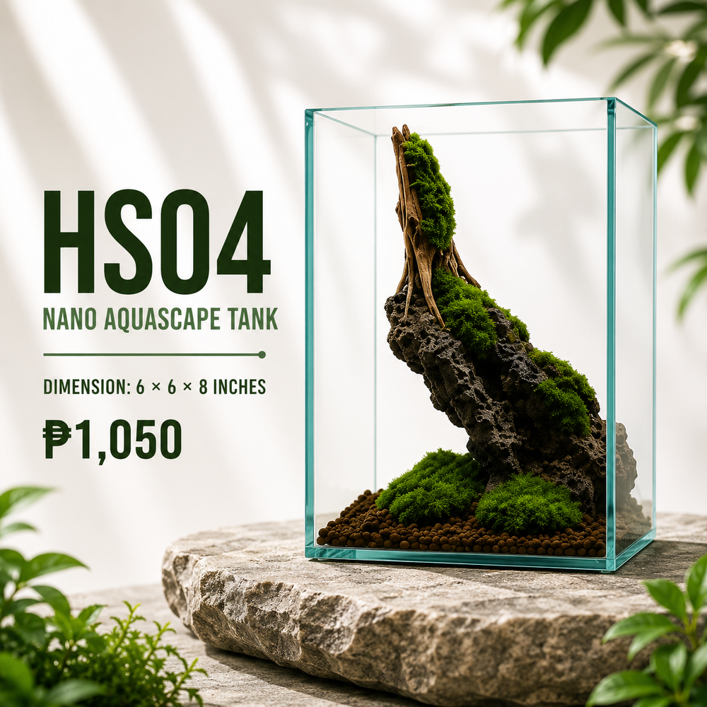 Driftwood Aquascape Display HS04