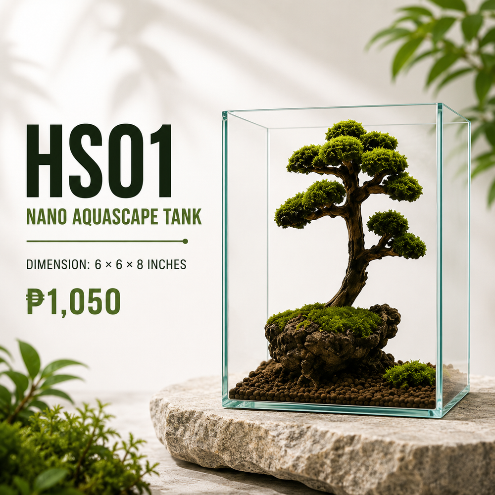 Bonsai Aquascape Display HS01