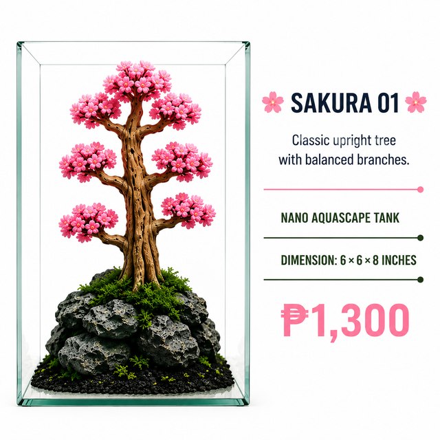 Sakura Bonsai Aquascape Display SK01