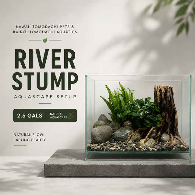 River Stump Aquascape Set (2.5 Gallon)
