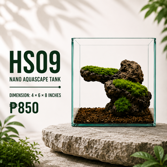 Lava Rock Aquascape Display HS09