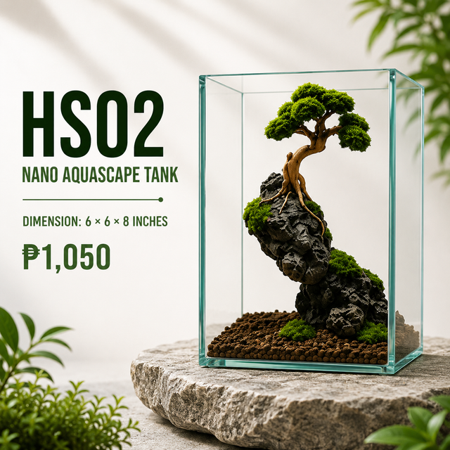 Bonsai Aquascape Display HS02