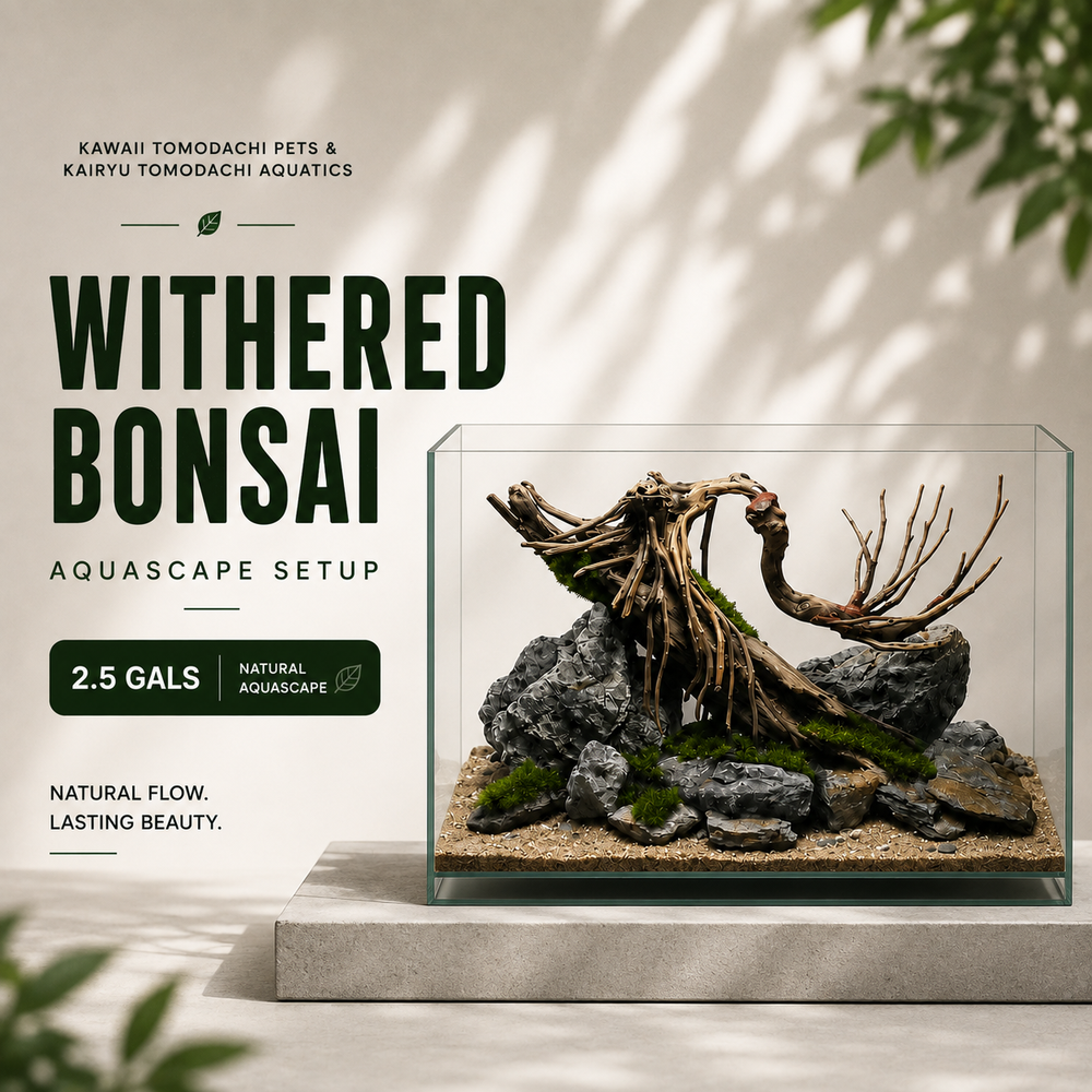 Withered Bonsai Aquascape Set (2.5 Gallon)