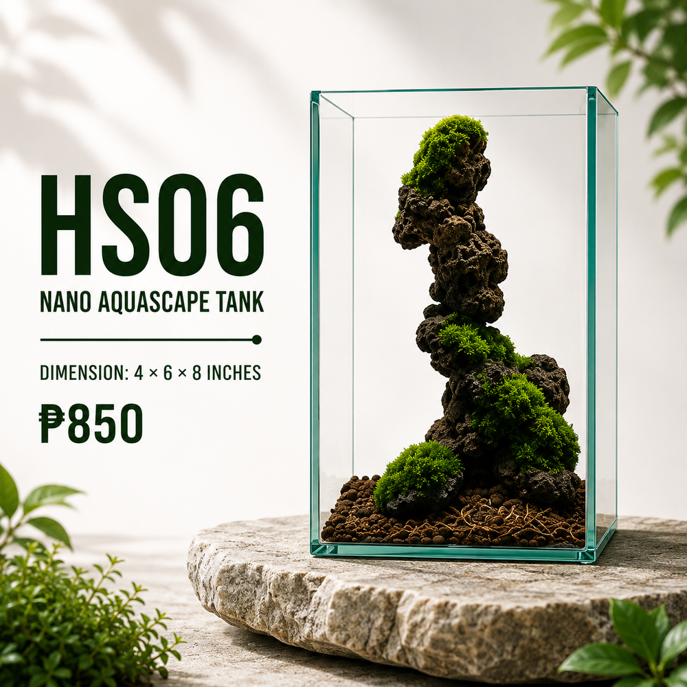 Spiral Rock Aquascape Display HS06