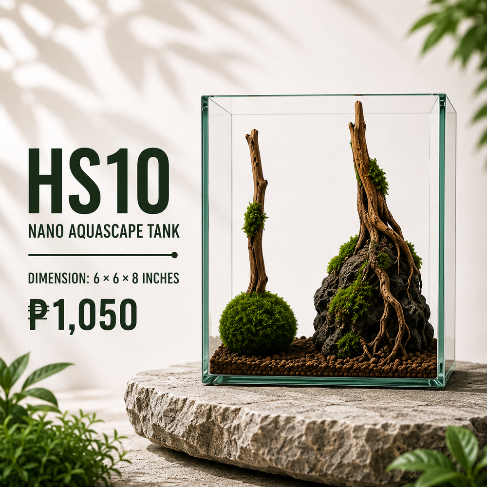 Driftwood Aquascape Display HS10