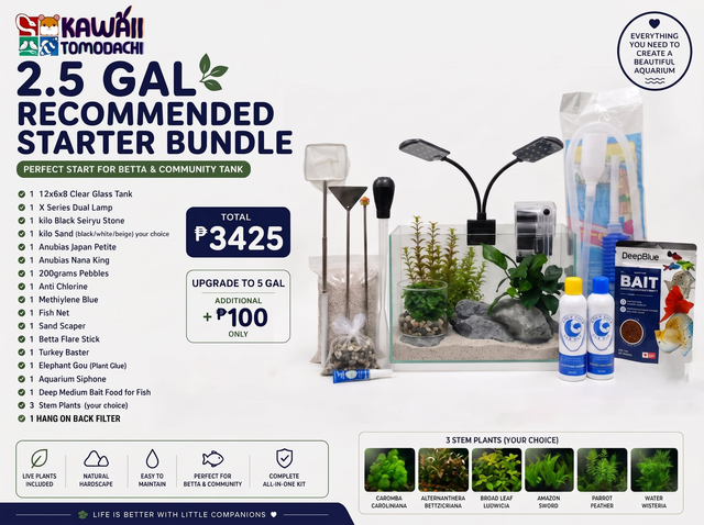 Recommended Betta Starter Bundle