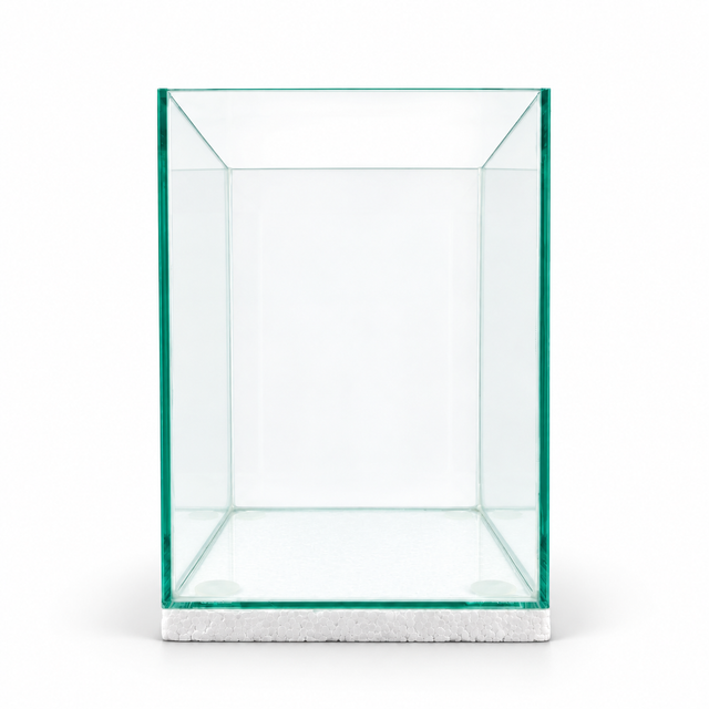 Clear Glass Tank 6x6x8 in (1.2 gal)