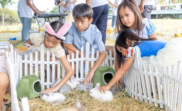 Kids petting baby bunnies in a fenced pen