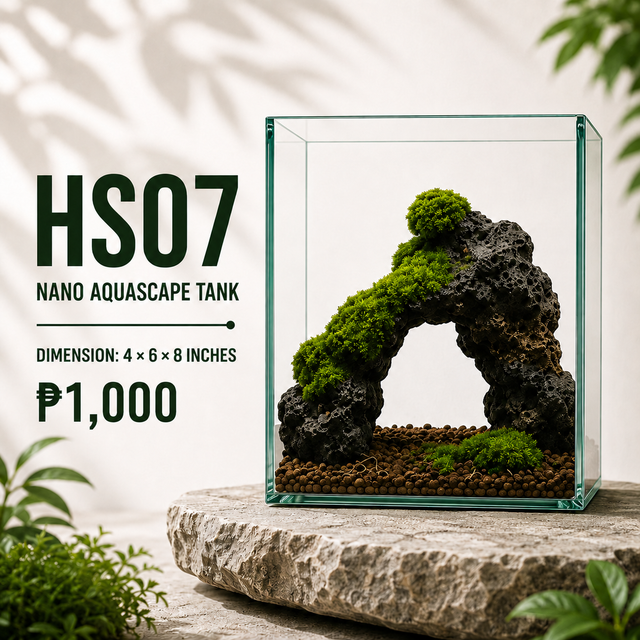 Lava Rock Arch Aquascape Display HS07