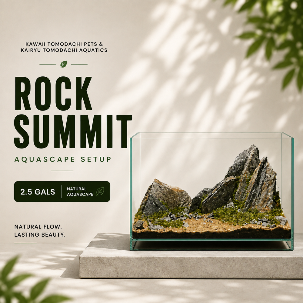 Rock Summit Aquascape Set (2.5 Gallon)