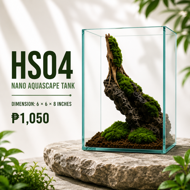 Driftwood Aquascape Display HS04