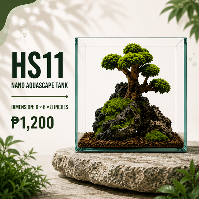 Bonsai Aquascape Display HS11
