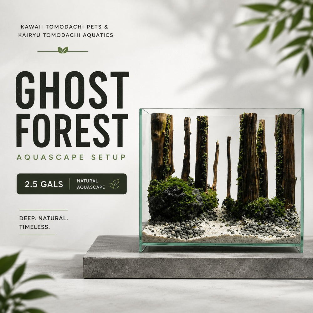 Ghost Forest Aquascape Set (2.5 Gallon)
