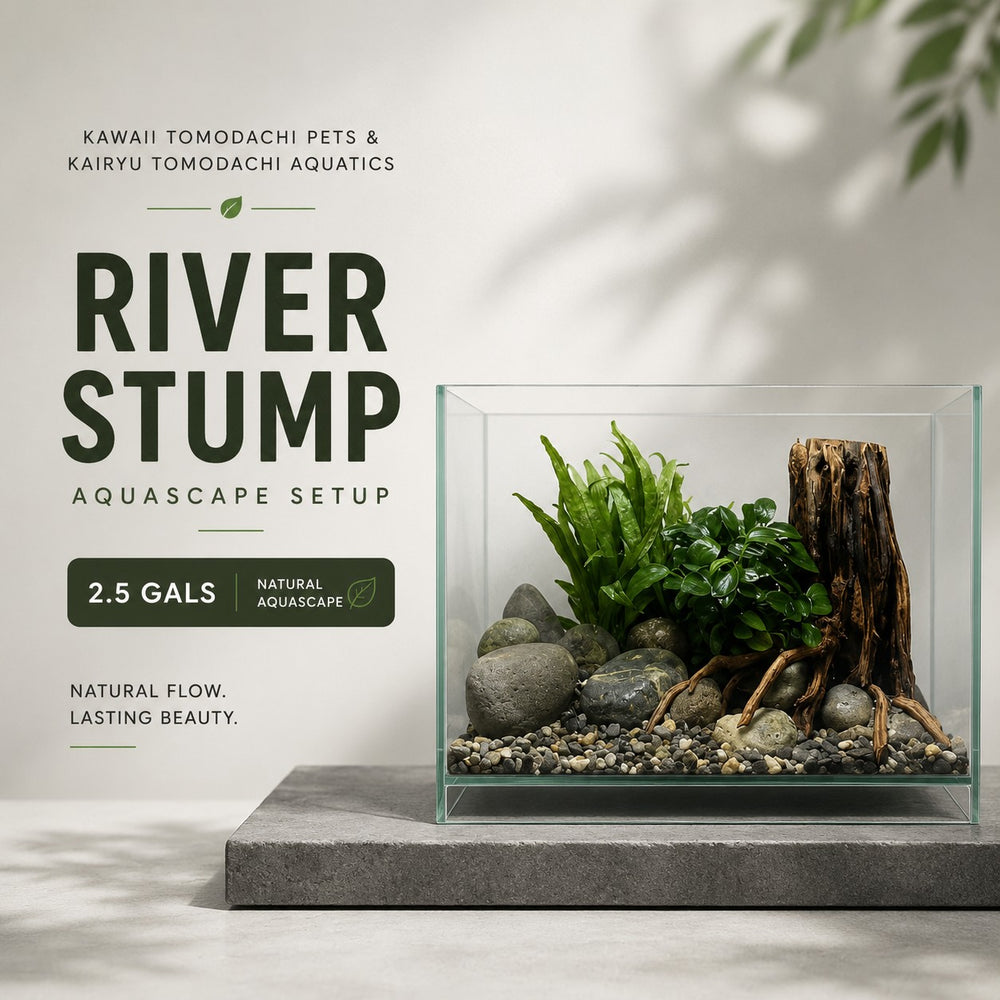 River Stump Aquascape Set (2.5 Gallon)