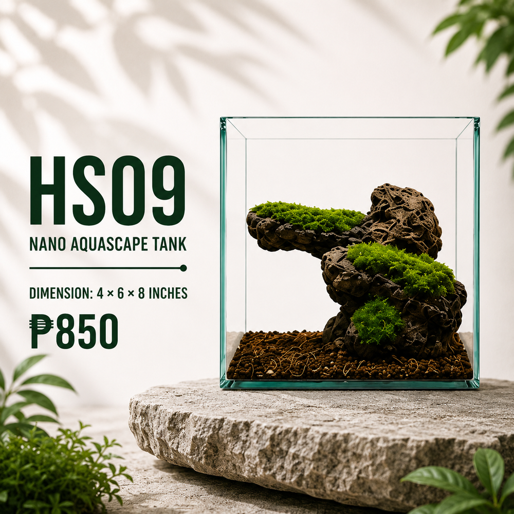 Lava Rock Aquascape Display HS09