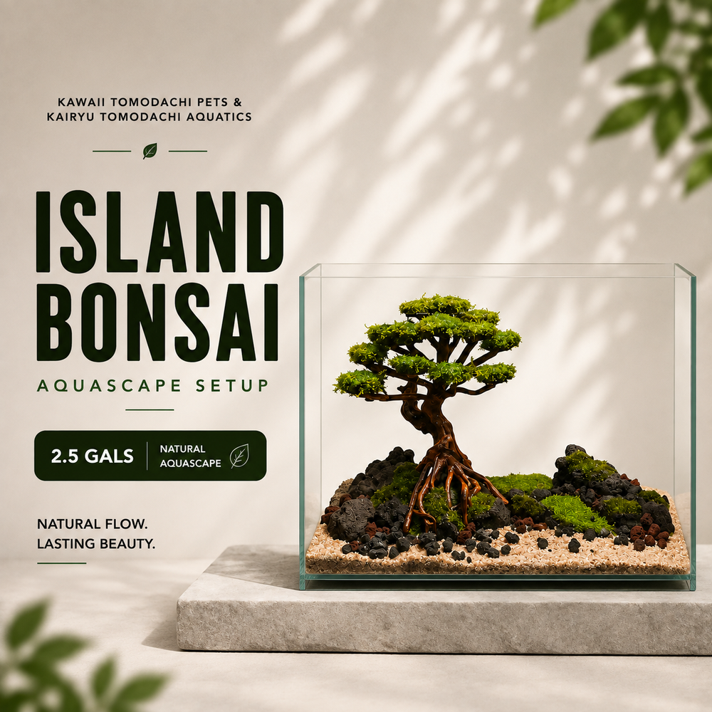 Island Bonsai Aquascape Set (2.5 Gallon)