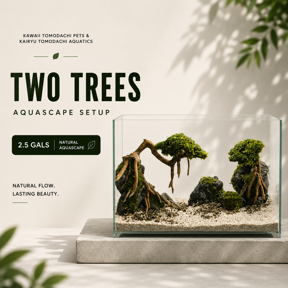 Two Trees Aquascape Set (2.5 Gallon)