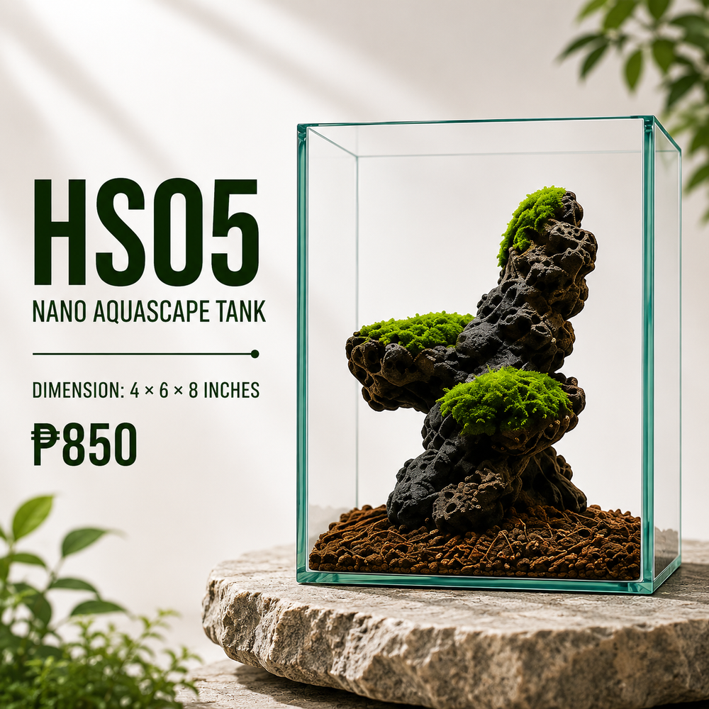 Mountain Rock Aquascape Display HS05