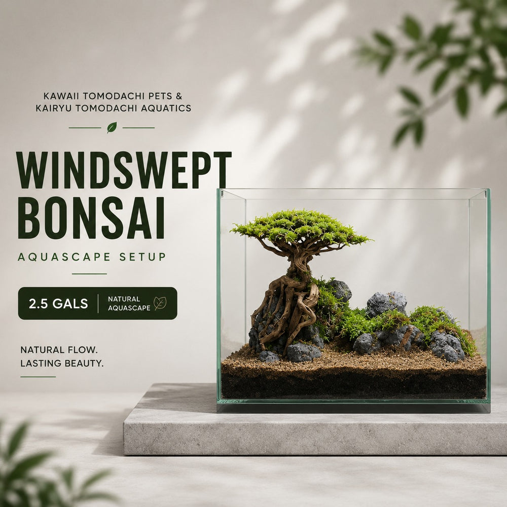 Windswept Bonsai Aquascape Set (2.5 Gallon)