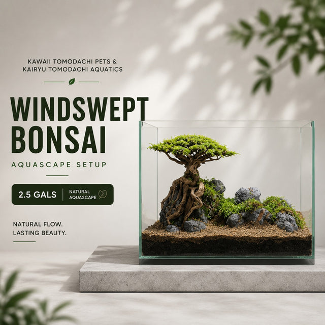 Windswept Bonsai Aquascape Set (2.5 Gallon)