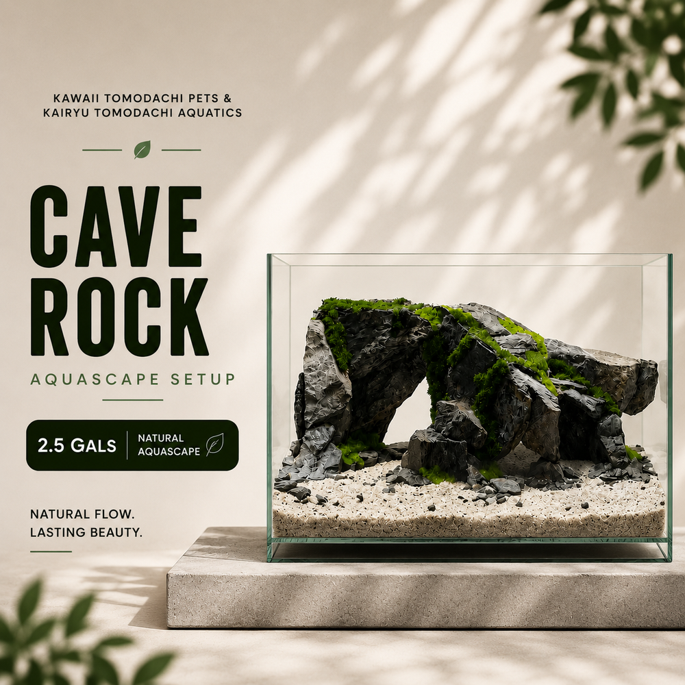 Cave Rock Aquascape Set (2.5 Gallon)
