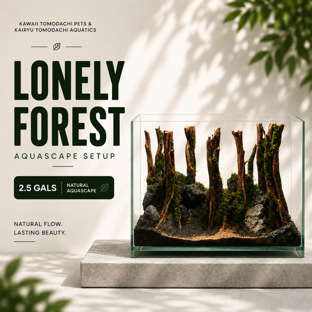 Lonely Forest Aquascape Set (2.5 Gallon)