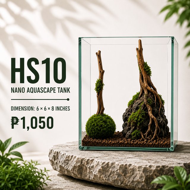 Driftwood Aquascape Display HS10