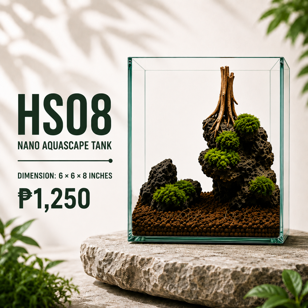 Rock and Driftwood Aquascape Display HS08
