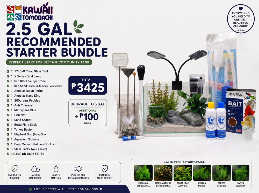 2.5 Gallon Recommended Betta Starter Bundle with glass tank, dual lamp, filter, plants and tools