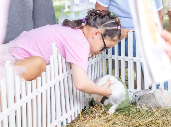 A child gently holding a white bunny