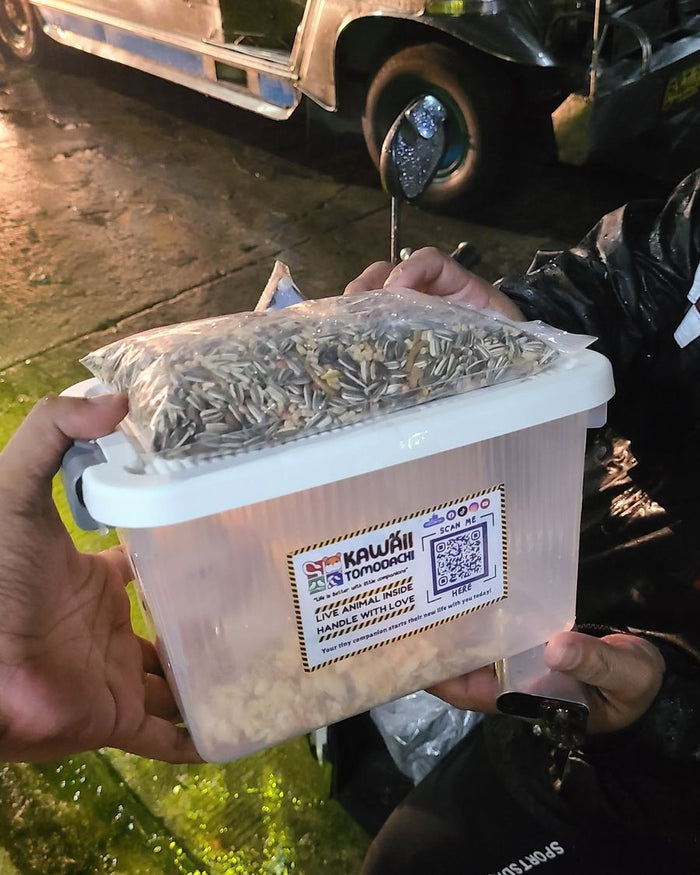 A packed hamster carrier with our shop label being handed over for delivery