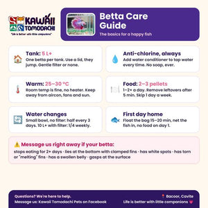 Our printed betta care sheet